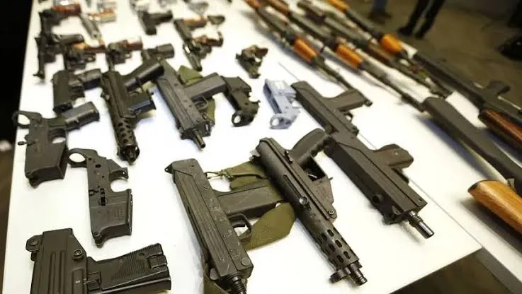 El Gobierno reorganizó el Registro Nacional de Armas y amplió sus funciones